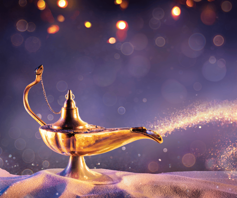 Beyond the Magic Carpet: Shoba Narayan's Story