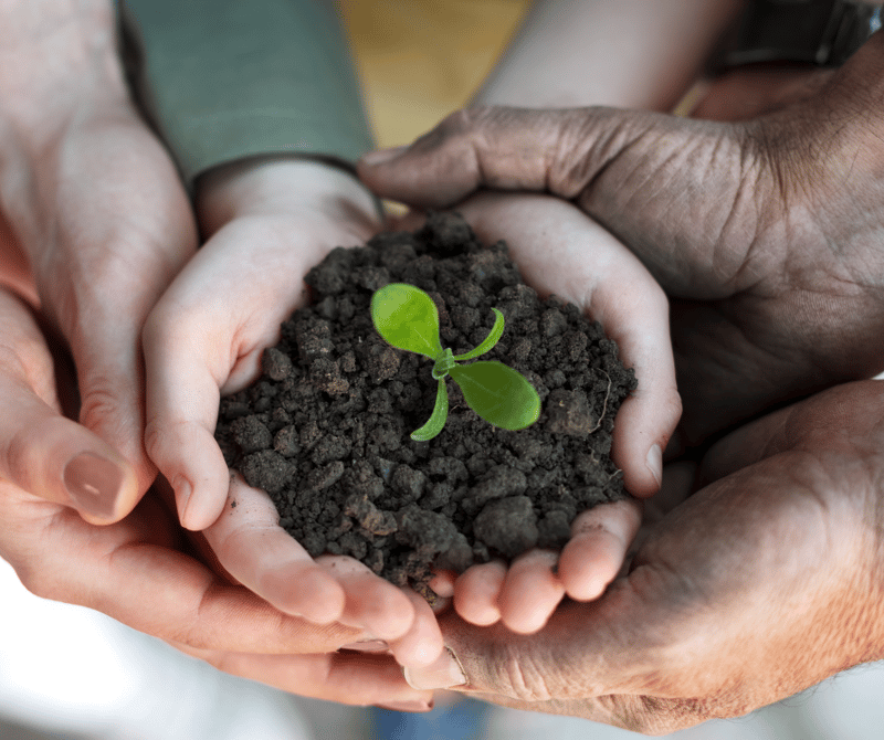 8 Expert Tips for Cultivating a Loyal Theatre Community
